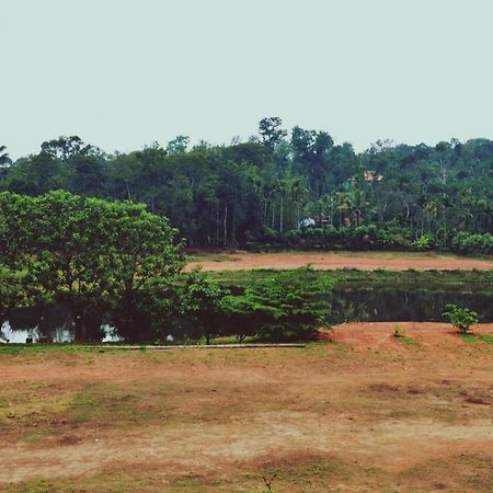 Agastya Lake View Coorg Madikeri Bagian luar foto