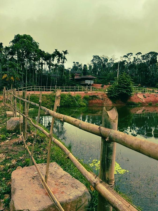 Agastya Lake View Coorg Madikeri Bagian luar foto