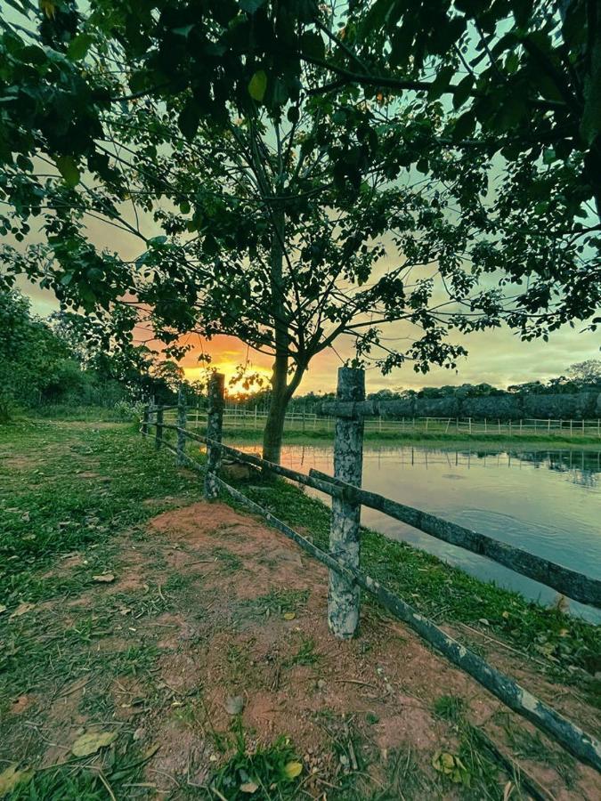 Agastya Lake View Coorg Madikeri Bagian luar foto