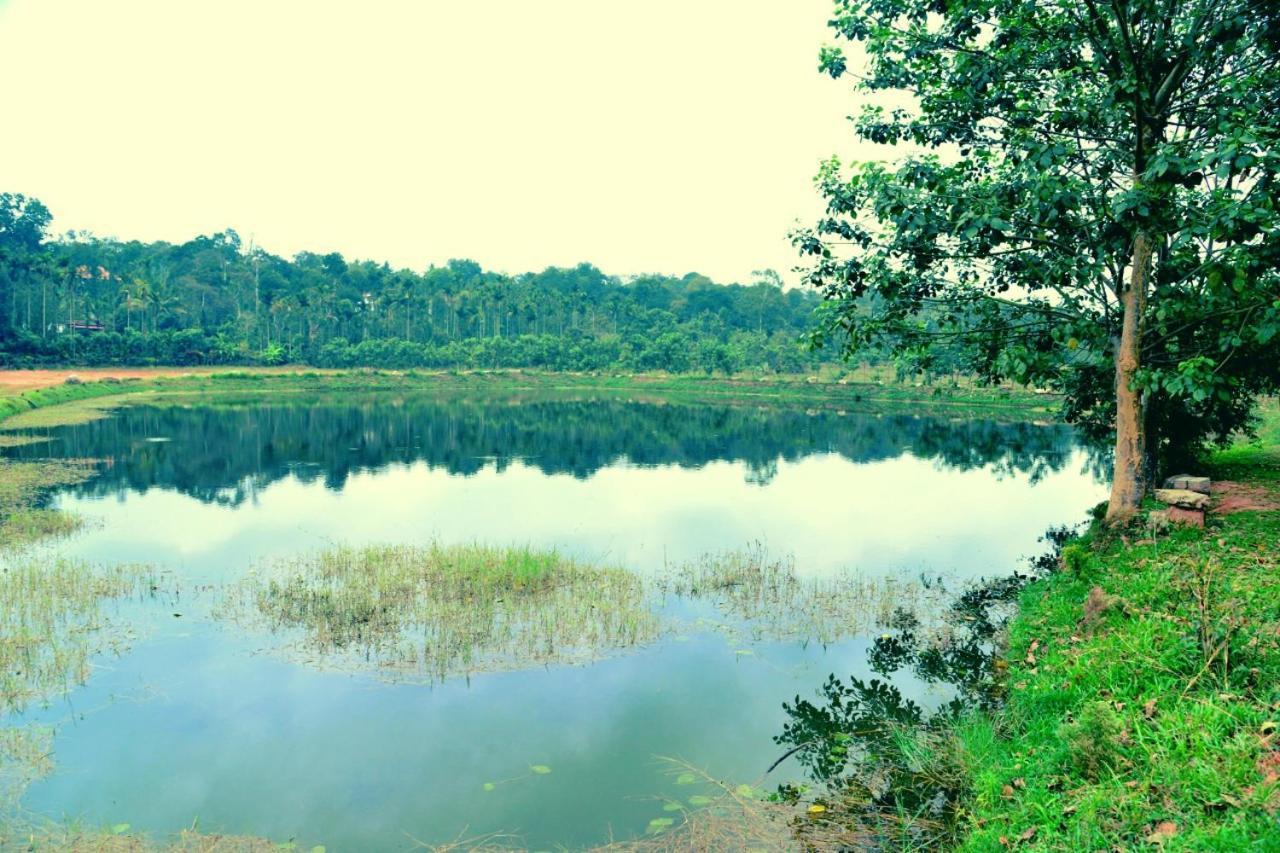 Agastya Lake View Coorg Madikeri Bagian luar foto